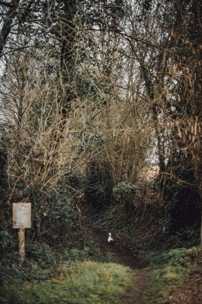 Circuit de la forêt de Mézières