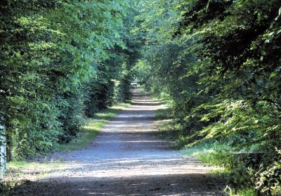 Du lac de Ribou à l'étang des Noues