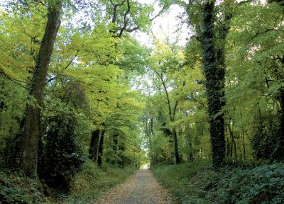 Circuit du Château du Chêne Landry