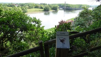 Sentier d'interprétation "La Garenne du Mont-Glonne"
