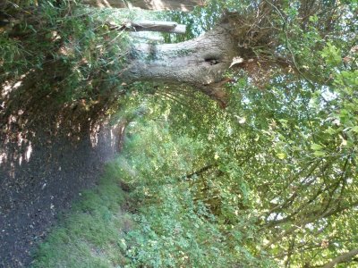 N°16 : Sur les pas des Croisés