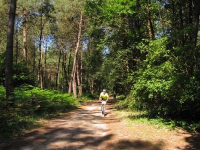 LA FORÊT DE NOS ANCÊTRES