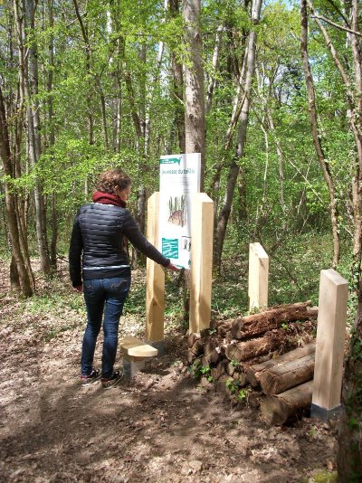 LA FORÊT, UN ENJEU DE TAILLE