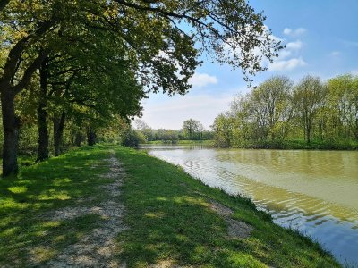 Circuit de la Forêt de Longuenée