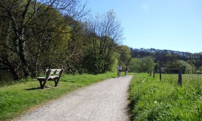 Bois, rivière et habitat