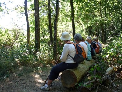 SENTIER DE RANDONNEE DES FROUX À FOUGERÉ