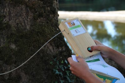 PARCOURS D'ORIENTATION AU PALLET