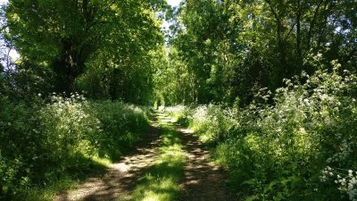 Randonnée "Les Cabournes"