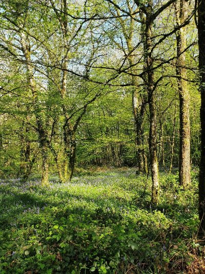 Boucle Vezins/Péronne/Vezins