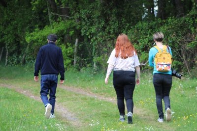 Sentier botanique - Brette-les-Pins