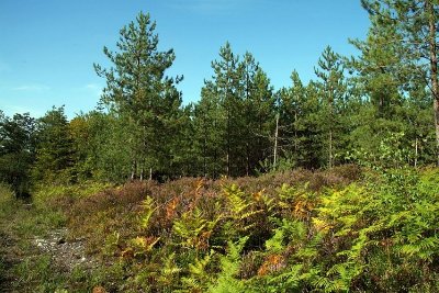 Circuit PR "Roche Brune"