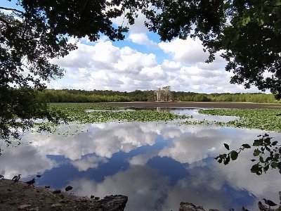 Circuit des étangs de Loudon - Parigné-l'Évêque