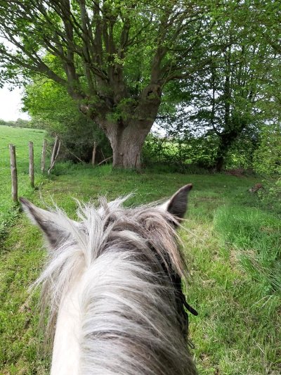 N°7 : De Malitourne à Montplaisir