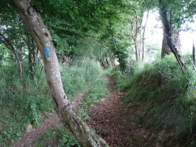 N°45 : La boucle de la Redonne