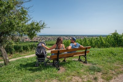 Circuit poussettes : Balade entre vignoble et piémont