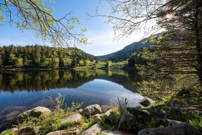 Balade ferme-auberge Forlet : Marcher face au plus beau cirque glaciaire