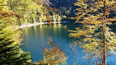 Balade ferme-auberge Gustiberg : un lac en point de mire
