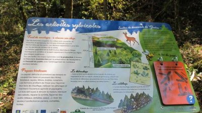 Randonnée Dolleren : Sentier de découverte du Graber