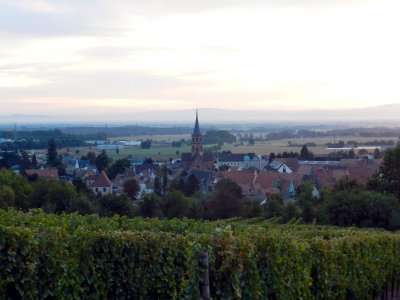 Circuit de randonnée: Le Piemont de Soultz