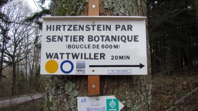 Circuit : sentier botanique du Hirtzenstein