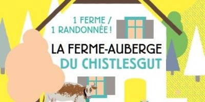 Balade ferme-auberge Christlesgut : chemins creux et prairies fleuries