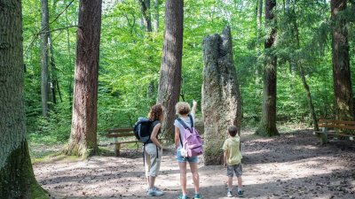 Circuit poussettes : La balade du menhir