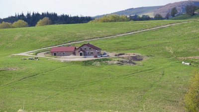 Balade ferme-auberge Wissgrut : Des hêtres sortis tout droit des contes