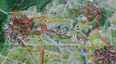 Sentier viticole des Grands Crus - Zellenberg