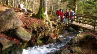 Traversée du Massif des Vosges - Etape 10 - Le Hohwald - Barr