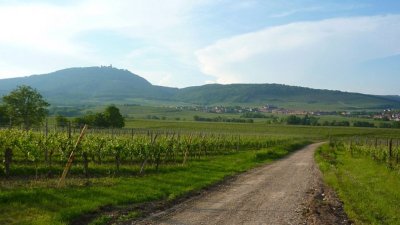 Sentier d'interprétation "Ried paysan"