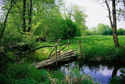 Circuit de la Lutter