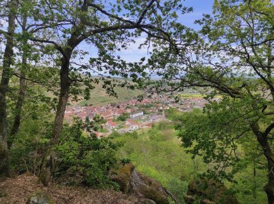 Randonnée famille  : autour de Rimbach-Zell et Sainte Anne