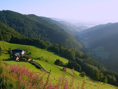 Balade ferme-auberge Graine Johé : entre deux vallons