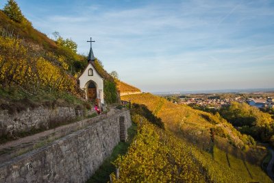 Sentier viticole des Bangards au Rangen
