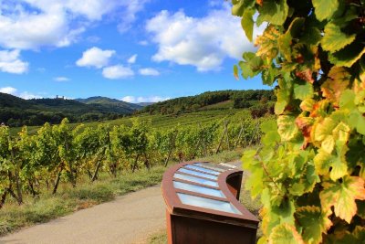 Randocroquis, croquez le paysage - Mittelbergheim