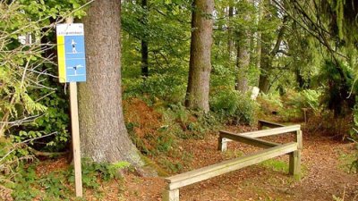 Parcours de santé Forêt du Niederwald