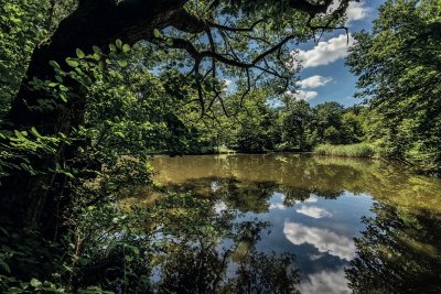 Le sentier d'accès au GR®532