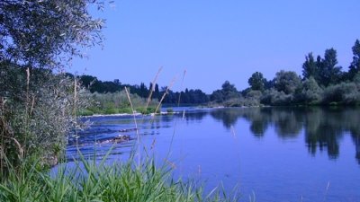 Escapade Rhénane : paysage en devenir