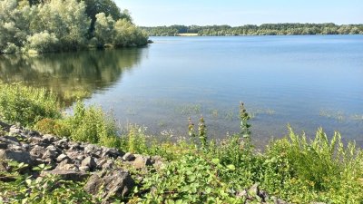 Circuit VTT : Thann - Lac de Michelbach