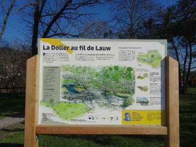 Marche santé Lauw Sentheim