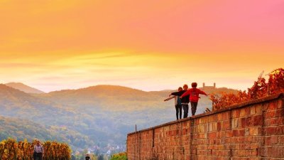 Sentier viticole de Mittelbergheim - Le Zotzenberg