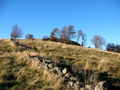 Balade ferme-auberge Thannerhubel : entre les alignements de pierre