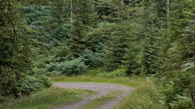 Circuit poussettes 4x4 C03 : la vallée de la Falle