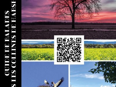 Circuit Les collines de Habsheim