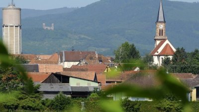Sentier découverte : à travers Zellwiller