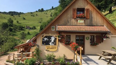 Balade ferme-auberge Wassmatt : au royaume de l'estive