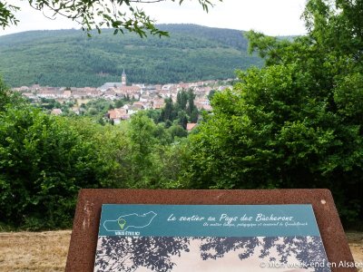 Sentier Au Pays des Bûcherons