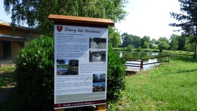 Circuit poussettes : La clé des champs