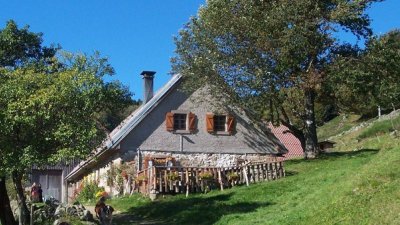 Randonnée Sewen : Chaumes du Langenberg et Wissgrut - Circuit 1