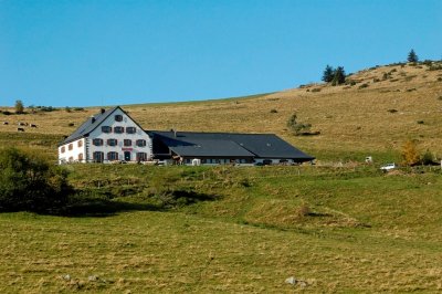 Balade ferme-auberge Kahlenwasen : goûter la paix…